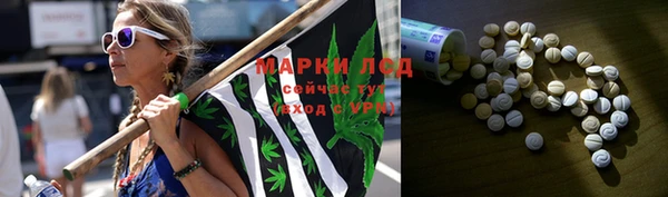 амф Майский