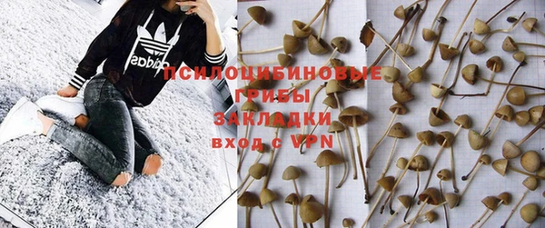 ПСИЛОЦИБИНОВЫЕ ГРИБЫ Магадан
