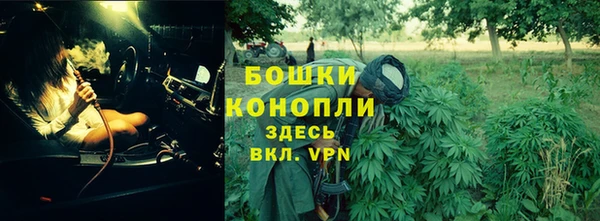 амф Майский