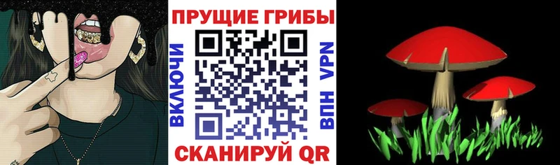 Псилоцибиновые грибы MAGIC MUSHROOMS  закладки  Юрюзань 