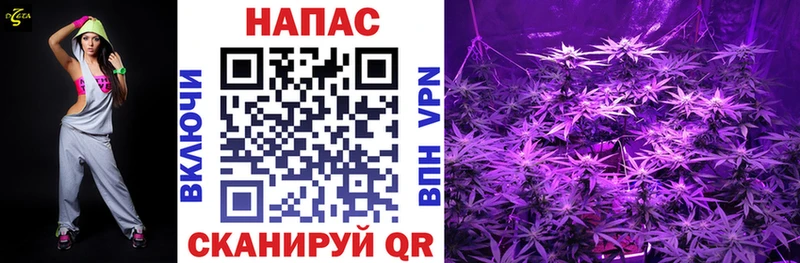 Бошки Шишки гибрид Юрюзань